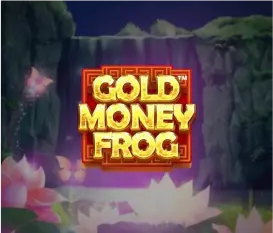 Gold Money Frog